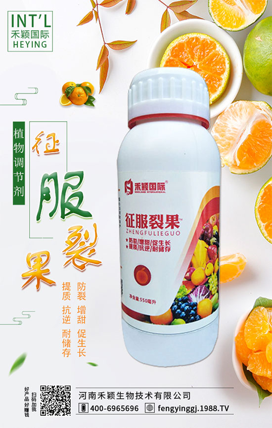 柑橘什么時間適宜栽種？柑橘肥水管理有哪些？