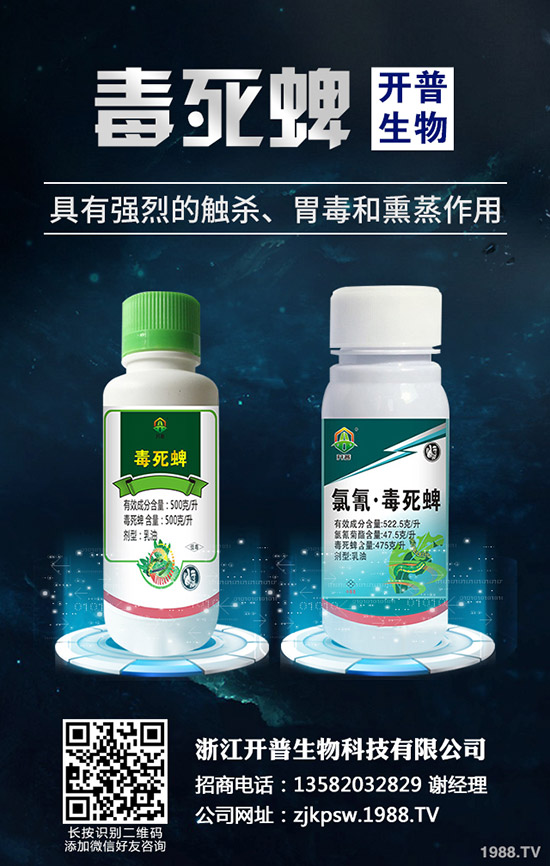 ���ľʭΣ�����c(di��n)��������(x��)�������ľʭ�İl(f��)���c����