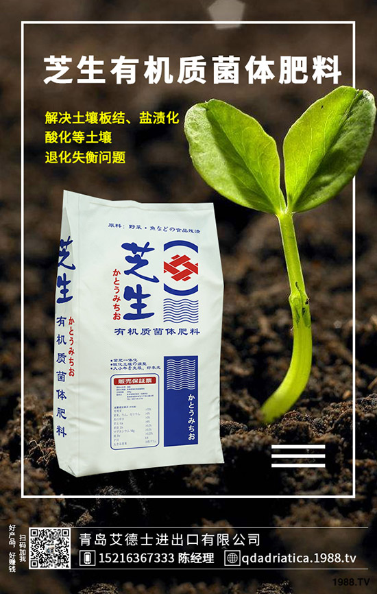 ��������ô��Ч�������������ص�ʹ�÷�����