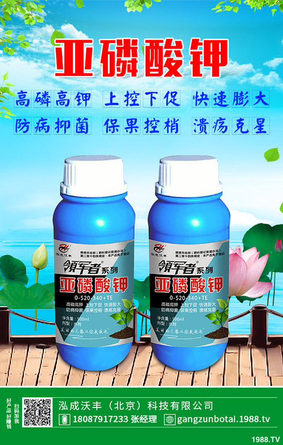 �ЙC(j��)�߲��c�o(w��)�����߲˵ą^(q��)�e���o(w��)�����߲���η��x(ch��ng)��