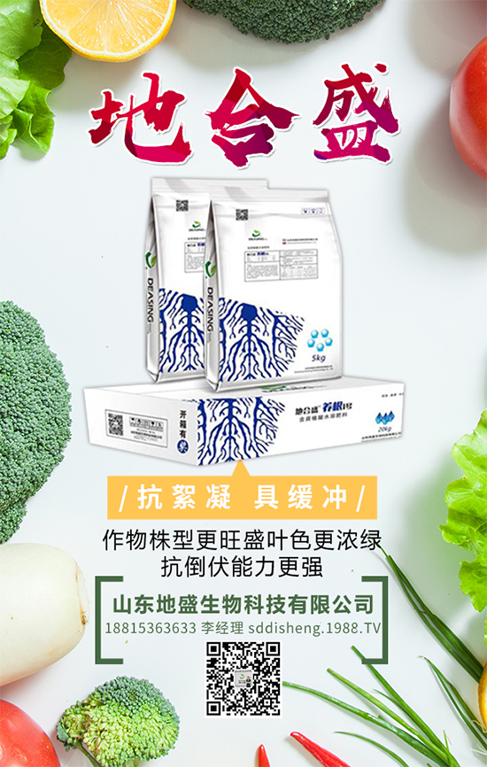 ݩ�j�ĠI(y��ng)�B(y��ng)�r(ji��)ֵ����ݩ�j��ʲô��̎��