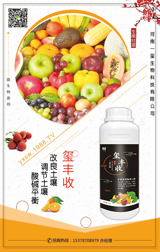 葫蘆的生長習性，葫蘆種植技術要點！