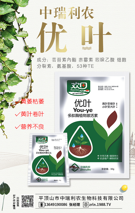 西瓜什么時(shí)間種植?西瓜伸蔓期管理要點(diǎn)!
