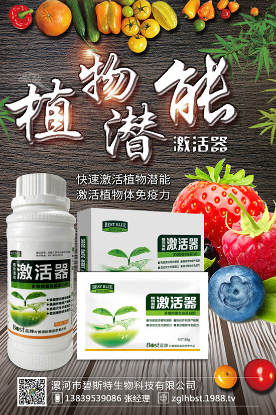 ������ô�N�ɻ��ʸ�������ʲô�r��Nֲ���ã�