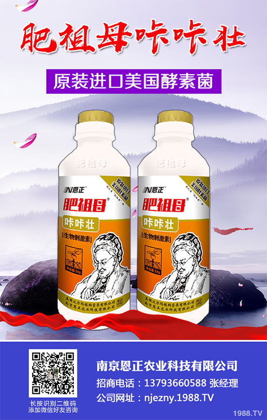春季花椒樹常見的病蟲害有哪些？該如何防治？花椒病害的發(fā)生與防治