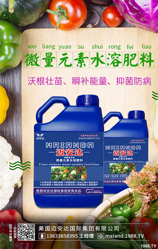 豆芽種植方法有哪些?豆芽的營養(yǎng)價值及功效與作用!