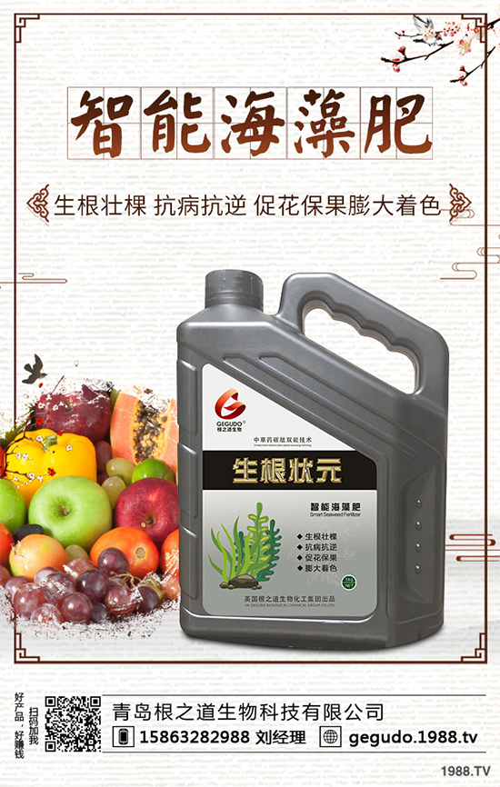 棉花種植怎么管理?棉花各個生長期的管理技術(shù)要點!