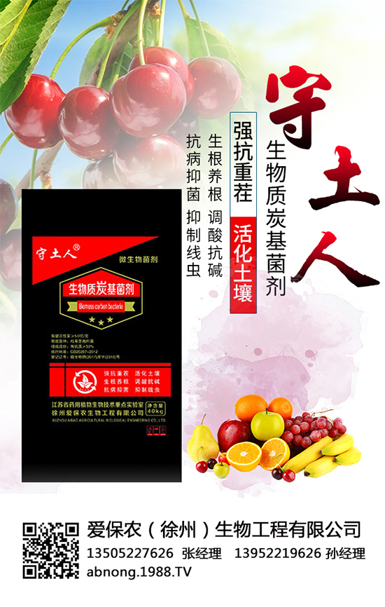 �۱��r(n��ng)�����ٴΔy��1988.TV���y���ل�(chu��ng)���x����