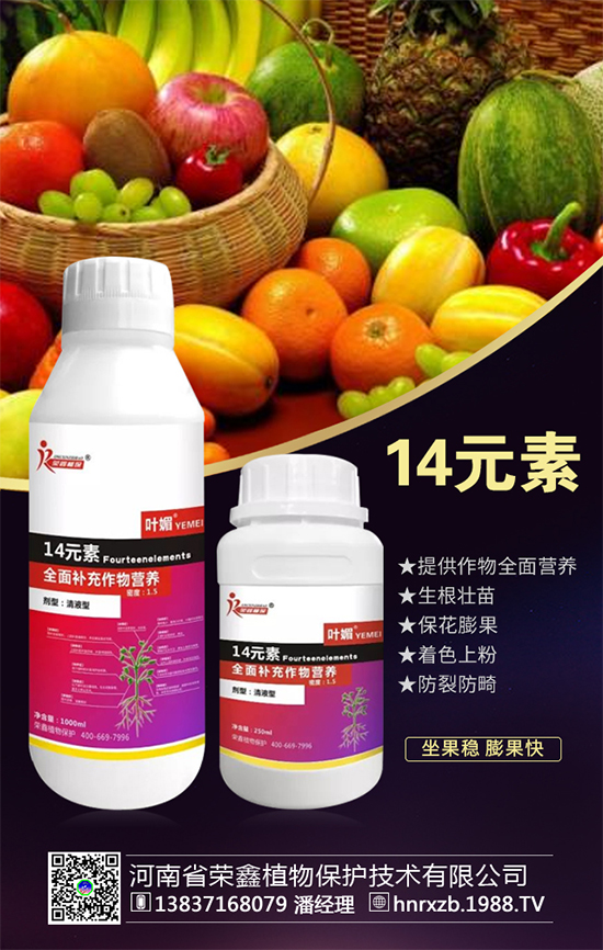 芹菜軟腐病有什么危害？芹菜軟腐病怎么防治好？