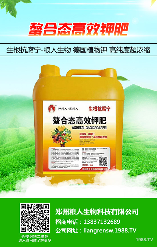 蔥得了灰霉病怎么辦？大蔥灰霉病的防治方法！