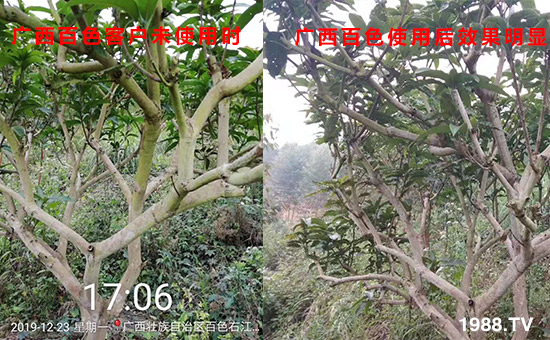 �V����ɫ�͑�δʹ�Õr(sh��)��ʹ�ú�Ч�����@��