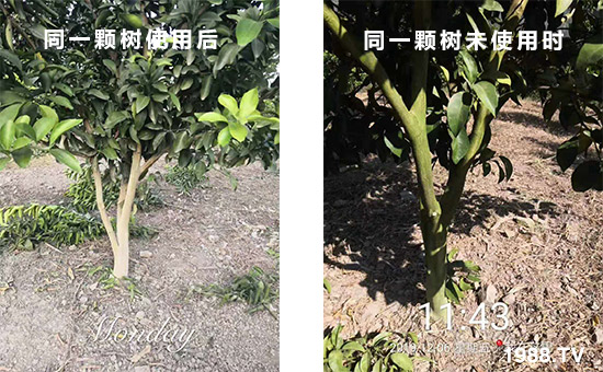 ͬһ�w��(sh��)ʹ�ú��ͬһ�w��(sh��)δʹ�Õr(sh��)��