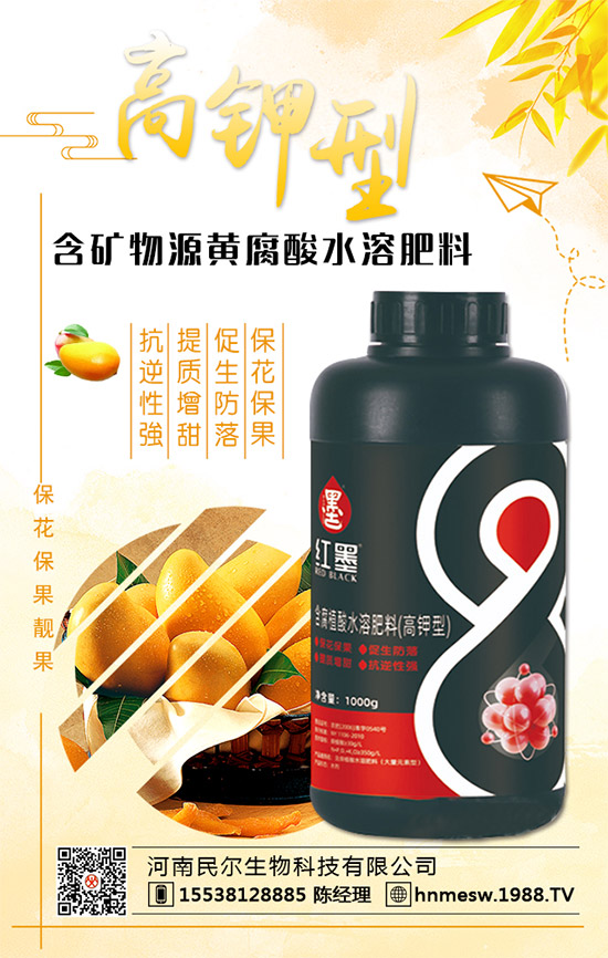 ��������(j��)���������ٺ�1988.TV������(chu��ng)���x����