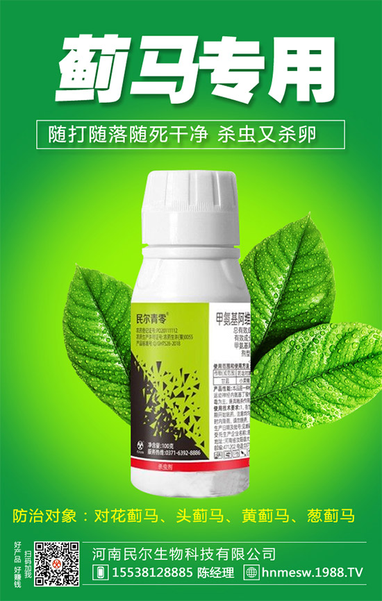 ��������(j��)���������ٺ�1988.TV������(chu��ng)���x����