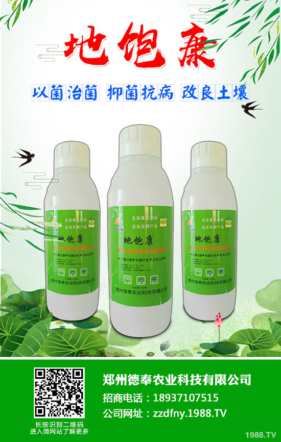 �ϹϺ��ǲ�����Щ�Y�����ϹϺ��ǲ����η���