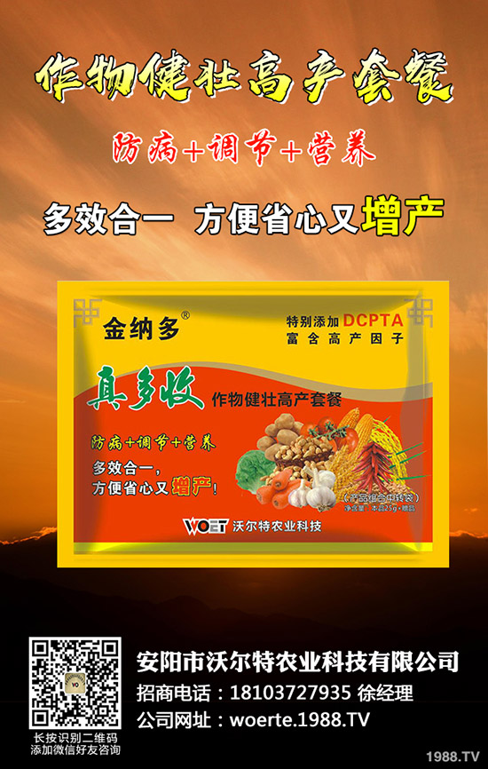 ������ô�N����ã����ѷNֲ�r(sh��)�g�����༼�g(sh��)��