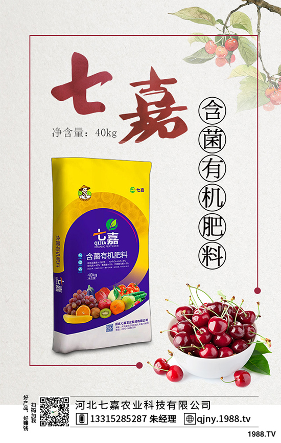 洋桔梗為什么種植難在哪里？洋桔梗種植難點及對策