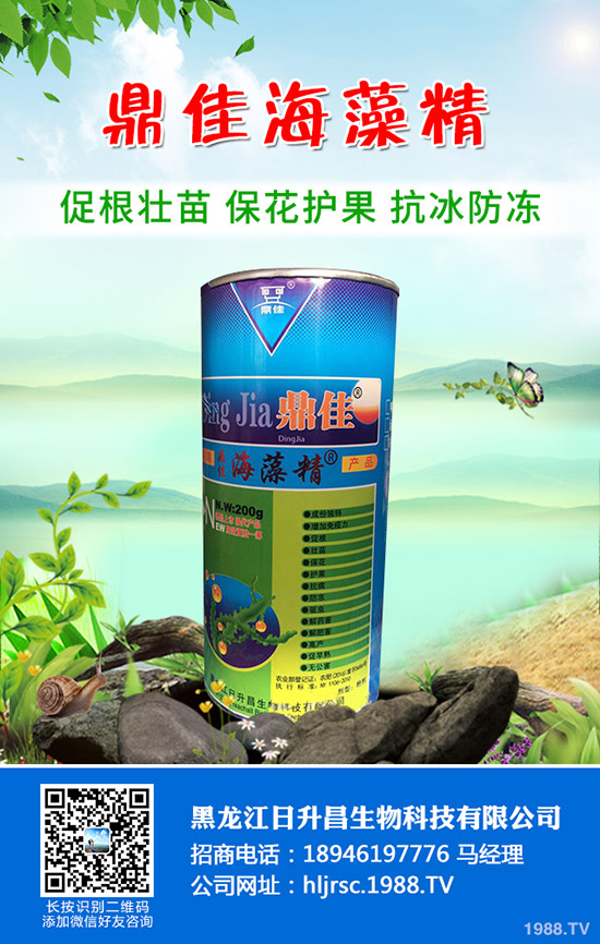 辣椒怎么育苗產(chǎn)量好，辣椒育苗技術要點！