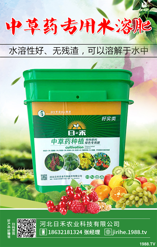 射干該怎么種植？中藥材射干的種植技術(shù)要點(diǎn)