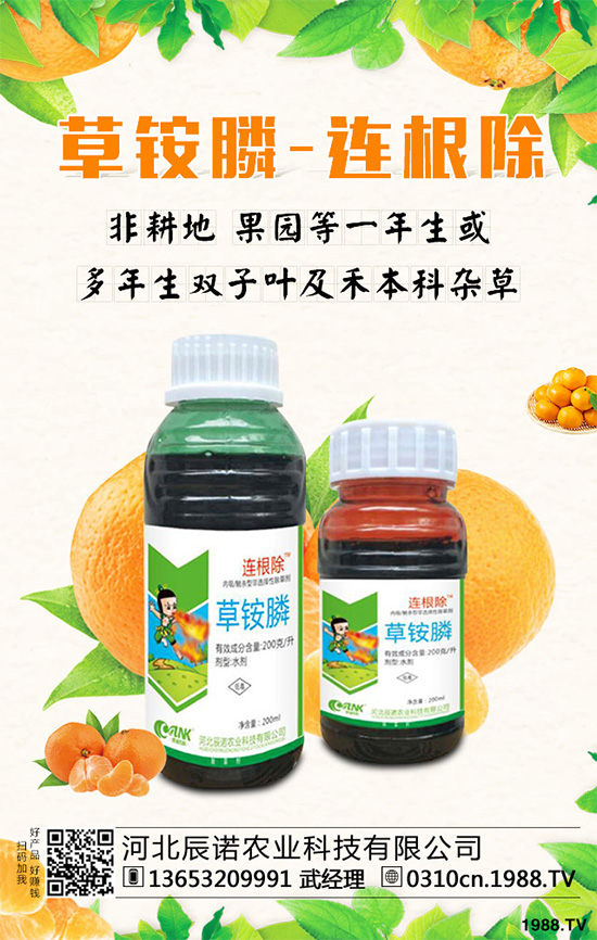 大豆田除草劑產(chǎn)品盤點(diǎn)—苗前篇