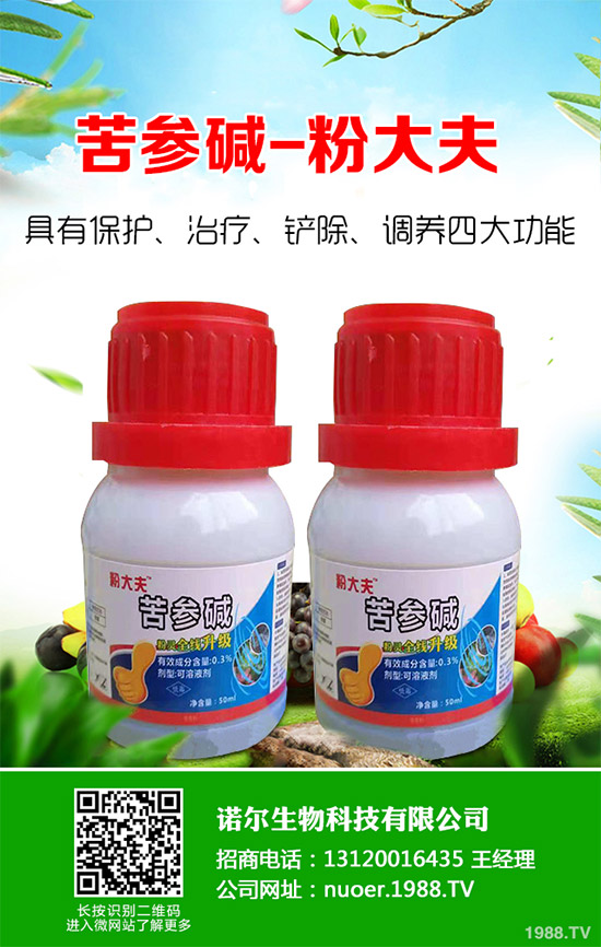 �{�����ӵă�(y��u)�������x���δ��ֲ���Ј��д�������