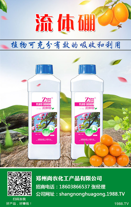     葫蘆瓜的種植條件有哪些，葫蘆育苗技術(shù)及種植方法！