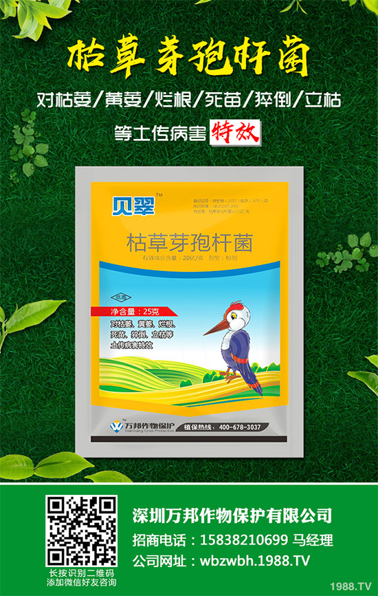 小麥赤霉病藥劑防治效果，有了新變化！