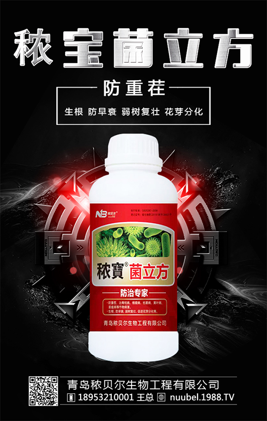 ����ʲô�r����Բ��գ����պ�İ�����ô̎����