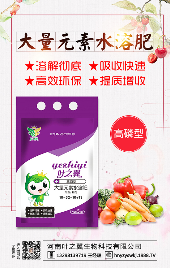 �������L(zh��ng)��(x��)������Щ�����ɵ����g����Ҫ�c(di��n)��