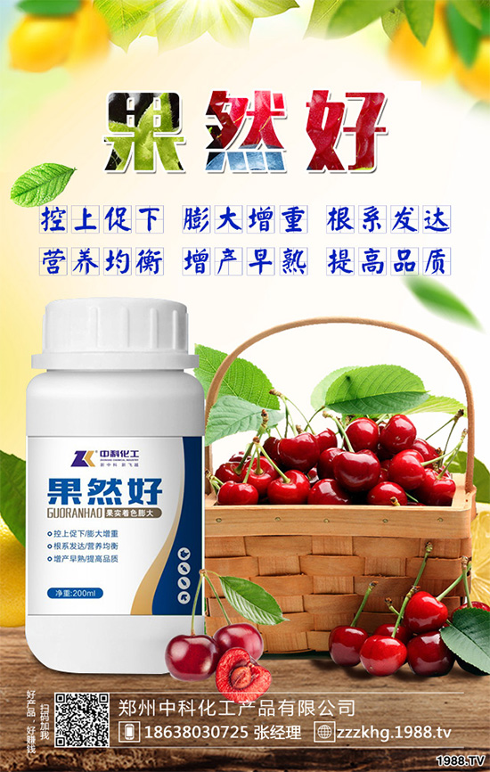 油麥菜有哪些營養(yǎng)價值？常吃油麥菜那些神奇效果？一起看看吧！