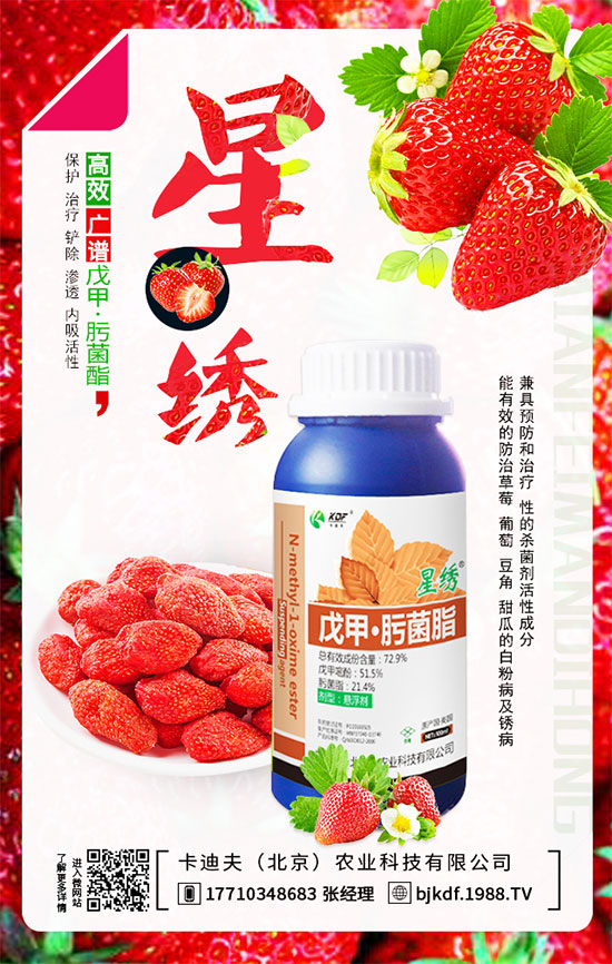 ����Ҫ��Ҫ���������������_��֦�������