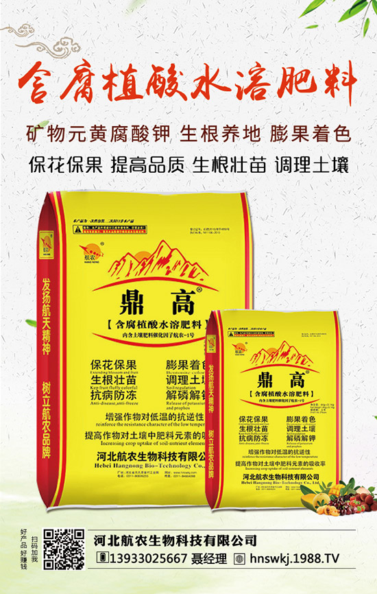 西瓜枯萎病如何防治？西瓜枯萎病和青枯病的區(qū)分！