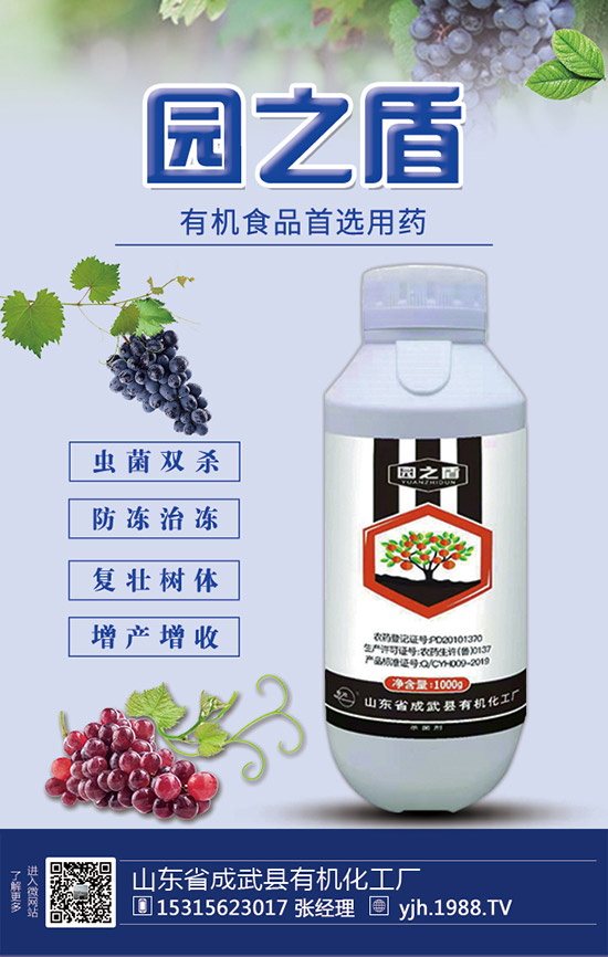 蘆筍如何施肥？蘆筍用什么肥料好？蘆筍需肥特點及注意事項！