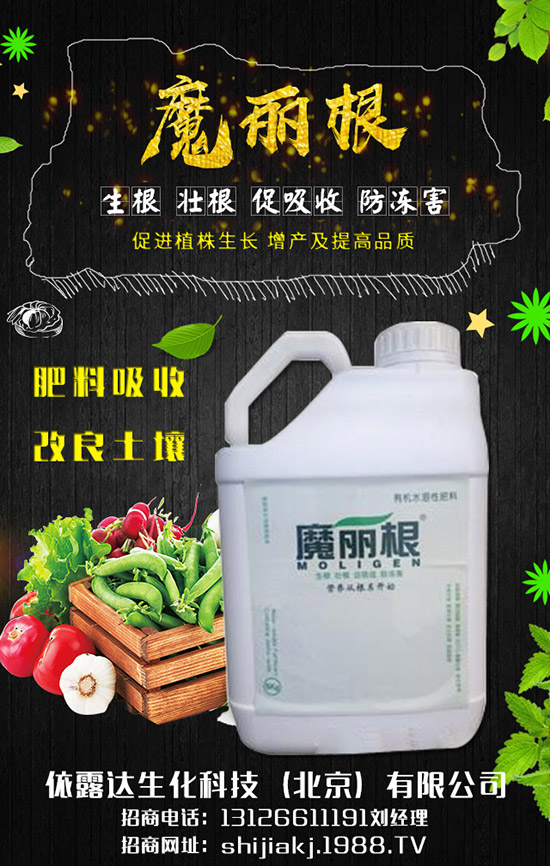 香蔥對環(huán)境的要求有哪些，香蔥的種植季節(jié)及日常管理！