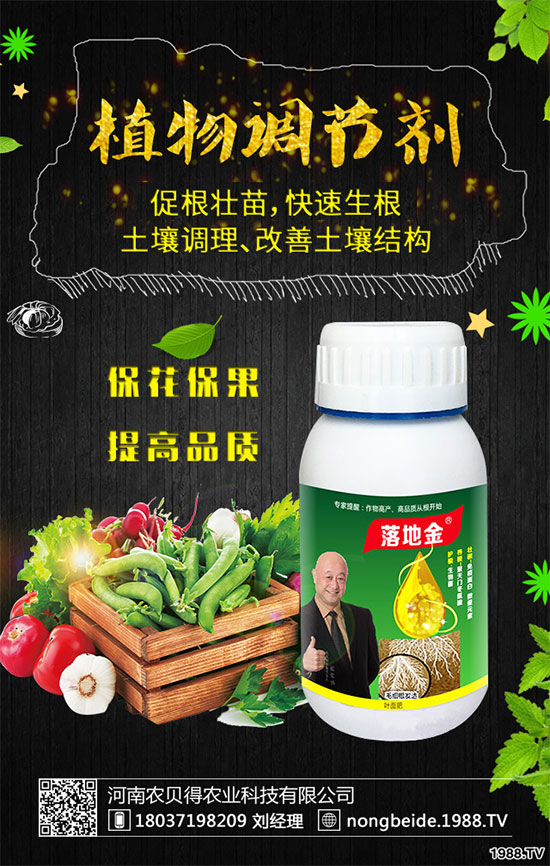 小香芹有哪些食用價(jià)值？小香芹的形態(tài)特征！