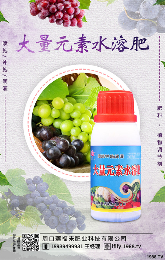 ���v�̶����Xһ�����Nֲǰ���������ˎ�ĵ�Ч�����