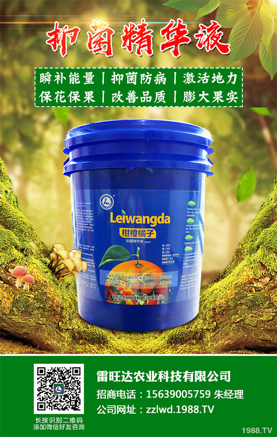 �~�Ȳ��Ј��r(ji��)������Xһ����2020���~�ȲݵķNֲЧ�����