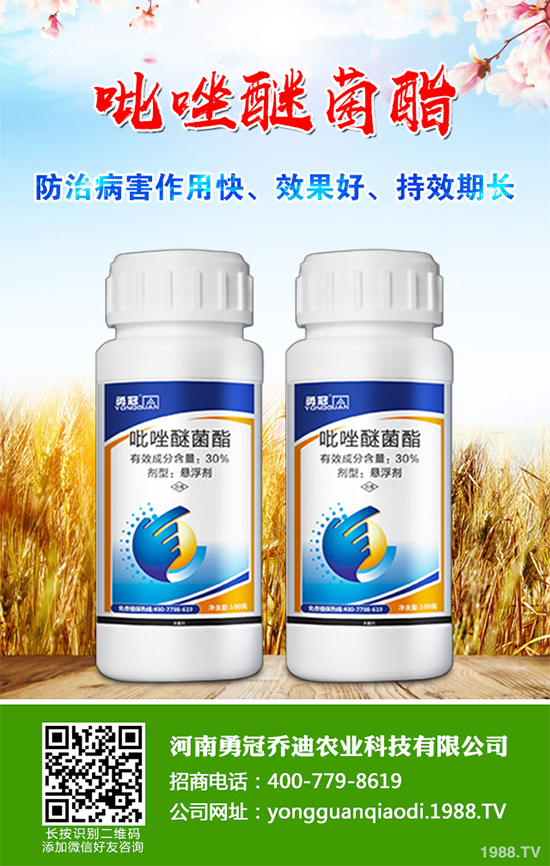 �������r������