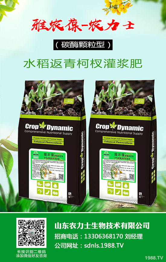 漲價,漲價!尿素為啥又漲價?2020-4-9今日各地最新報價來啦!