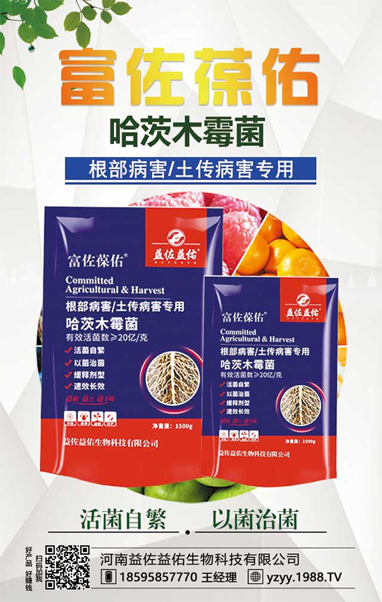 ���^����ʲô�I(y��ng)�B(y��ng)�r(ji��)ֵ�������^��ʲô��̎��