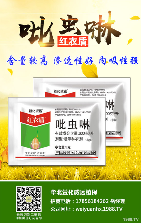     2019���҇��rˎ�r��ָ��(sh��)�\�иśr��2020���A�y