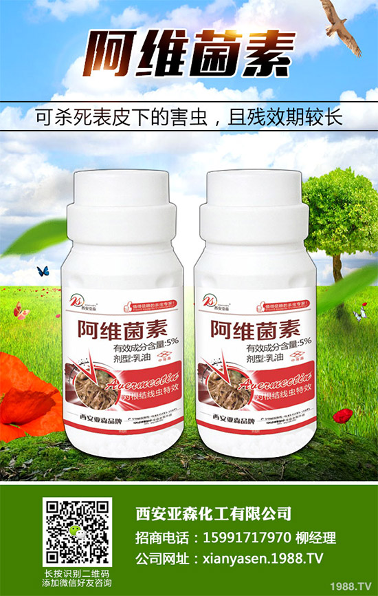  ��Ч���������