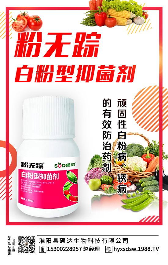 板栗怎么種植?板栗種植技術(shù)要點!