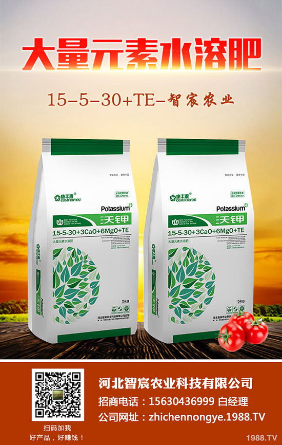 2020年5月15日今日最新國內(nèi)復(fù)合肥價(jià)格走勢及交易日評(píng)