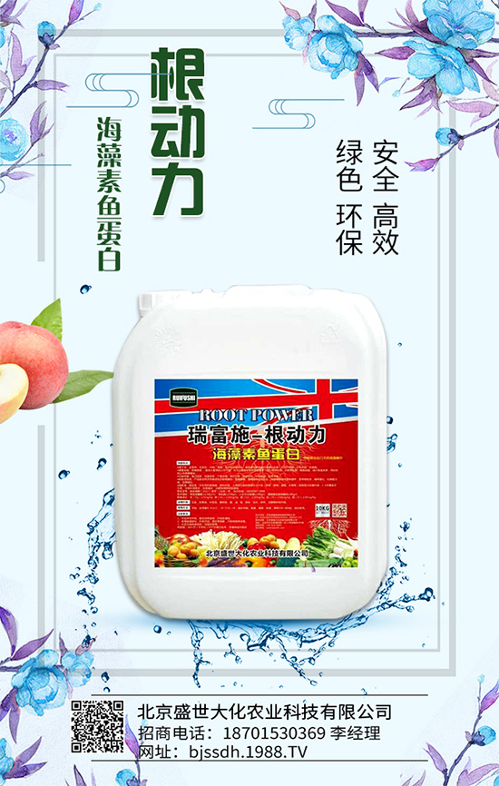 �J�S��ʲô�I(y��ng)�B(y��ng)�r(ji��)ֵ�����J�S����Щ��̎��