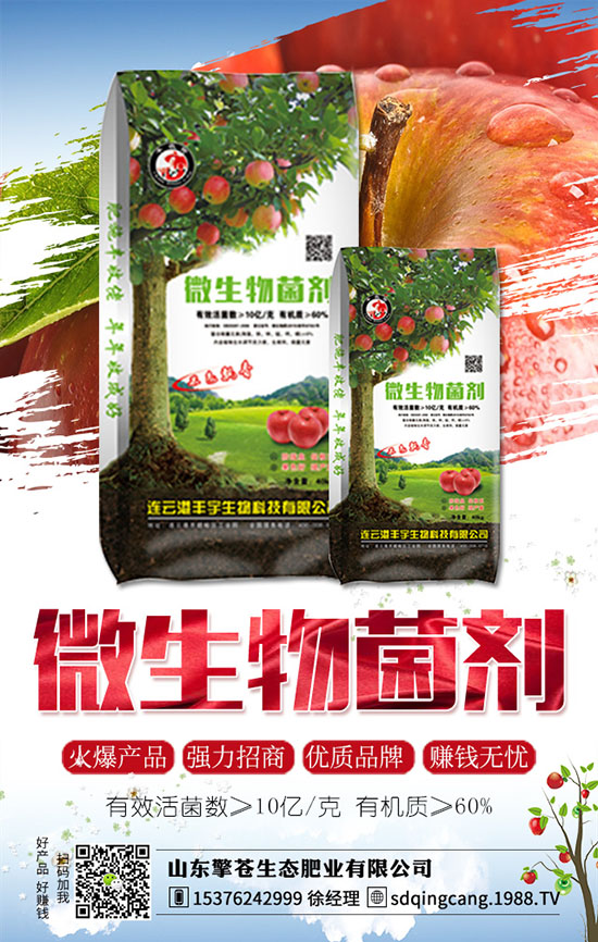 草莓發(fā)生肥害了怎么辦？如何避免？草莓肥害原因及補(bǔ)救措施！