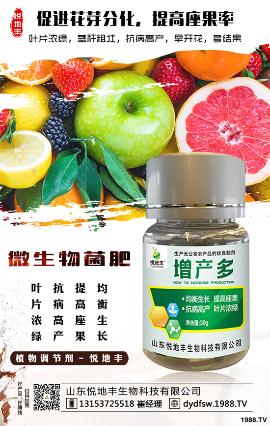 冰菜該如何栽培？怎樣種植能高產(chǎn)？冰菜的高產(chǎn)栽培技術