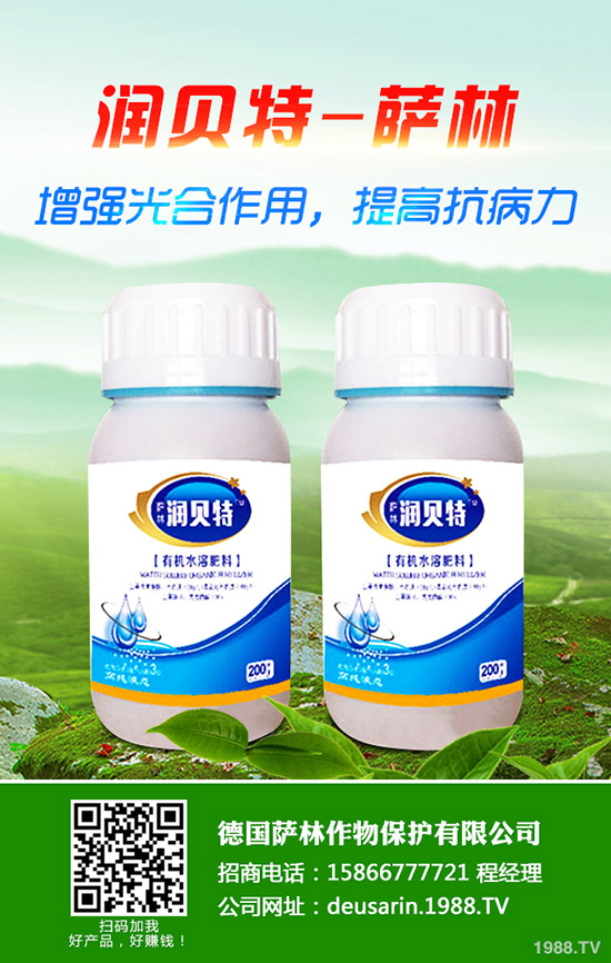 金桔樹怎么養(yǎng)？金桔樹的養(yǎng)殖方法和注意事項