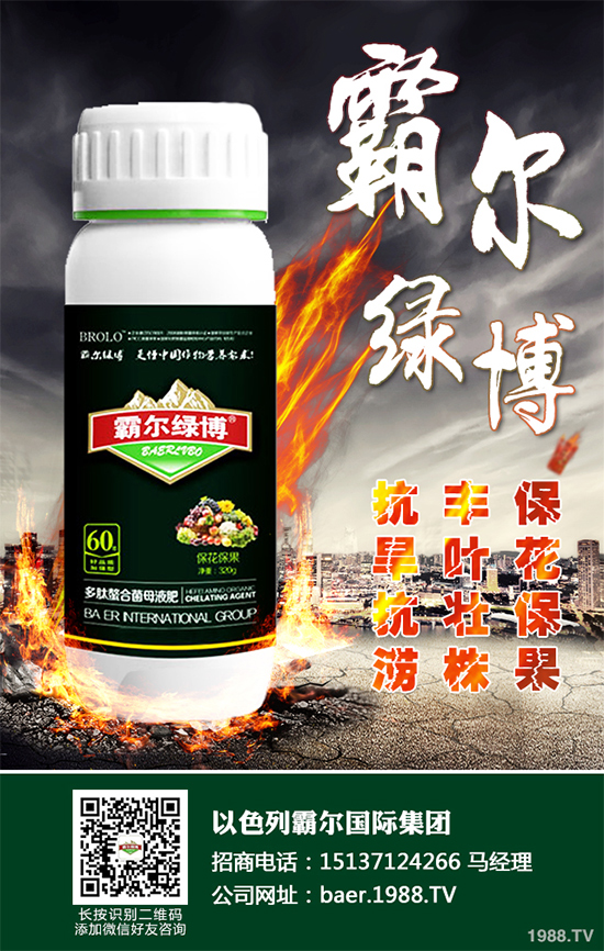 ������ʲô�r�򲥷N��2020���������粥�����ă�(y��u)ȱ�c����