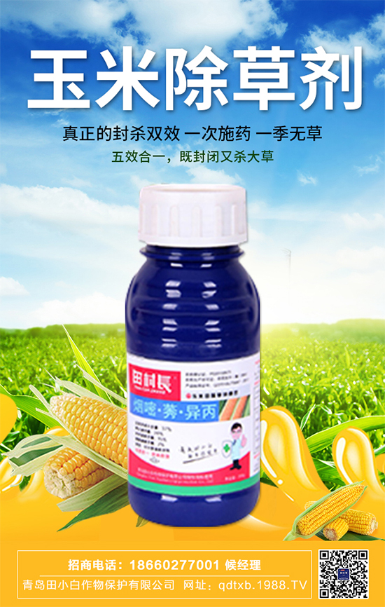 ���׷N�Ӱ�N��ʲô���ã��������ڹ���Ҫ�c��